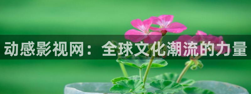 国产理论免费影院：动感影视网：全球文化潮流的力量