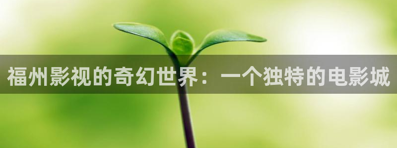 神马影院电影dy888午夜理论不卡