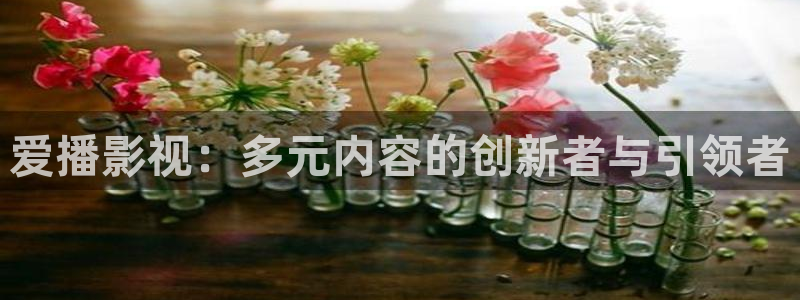 理论神马影院：爱播影视：多元内容的创新者与引领者