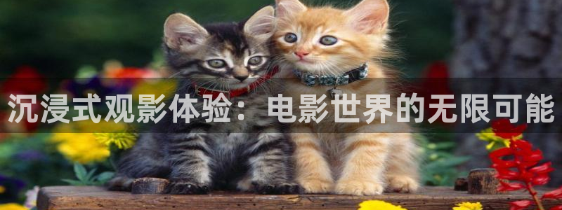 奇优影院手机理论片重庆