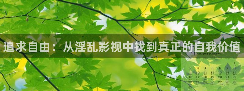 能播放的理论大片