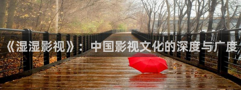 神马电影网午夜理论